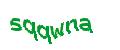 Captcha 画像